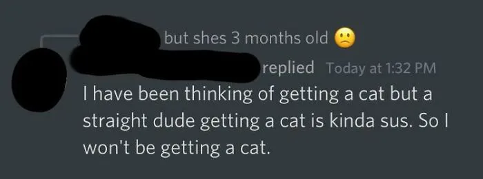Cats Are Gay Now