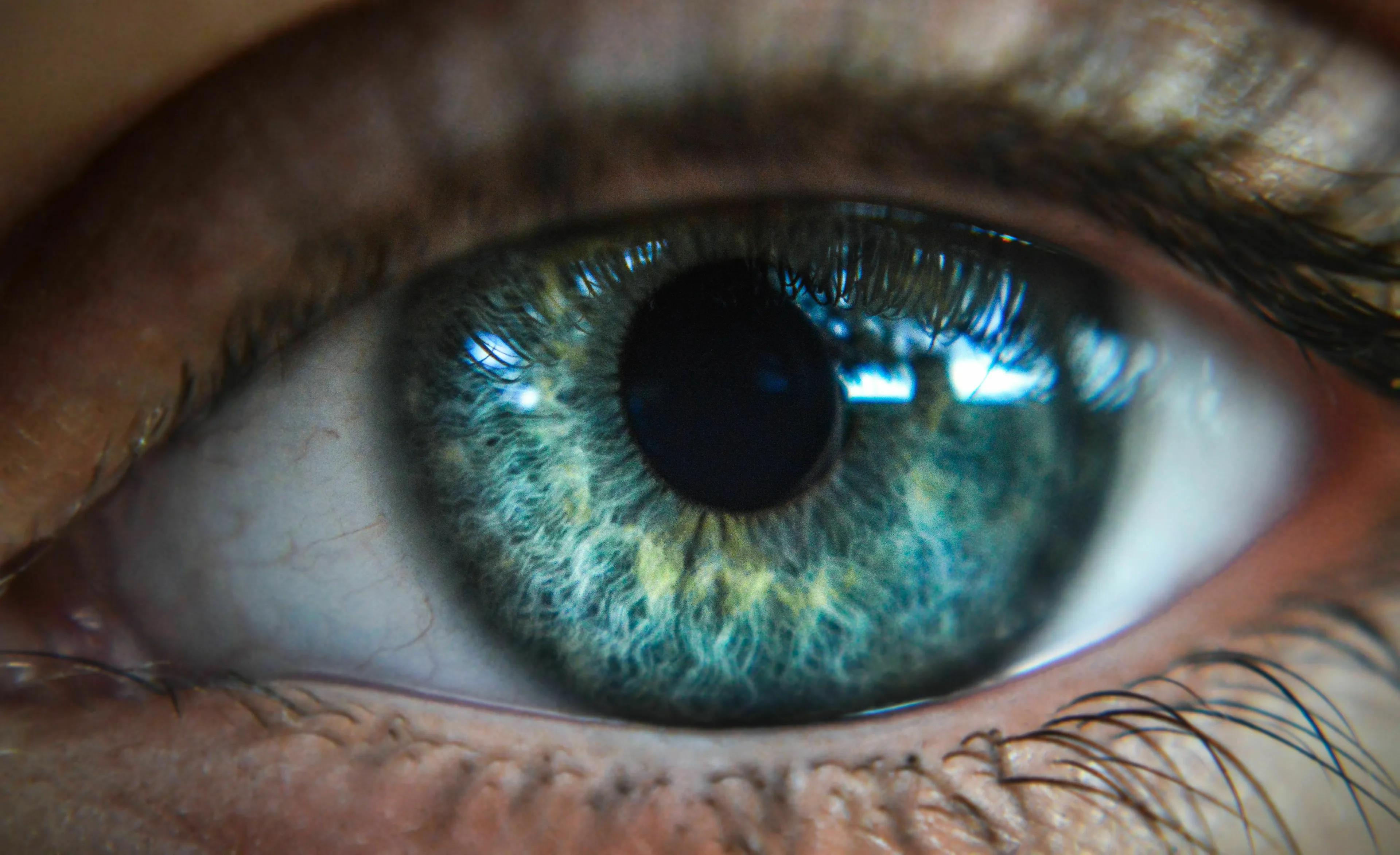 Close-up of a human eye, showing the iris controlling the light entering it for the general knowledge quiz.