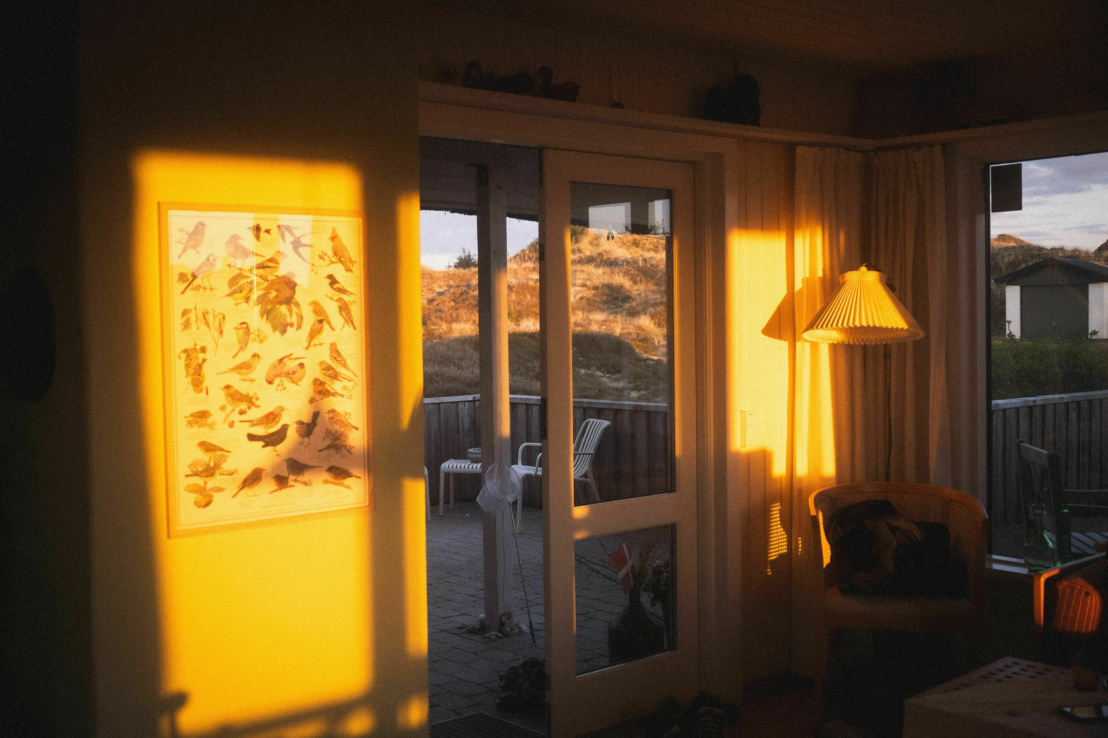 Golden hour sunlight streams into a cozy living room, creating warm shadows on a bird print and casting a glow on outdoor patio seating, perfect for handling loneliness.