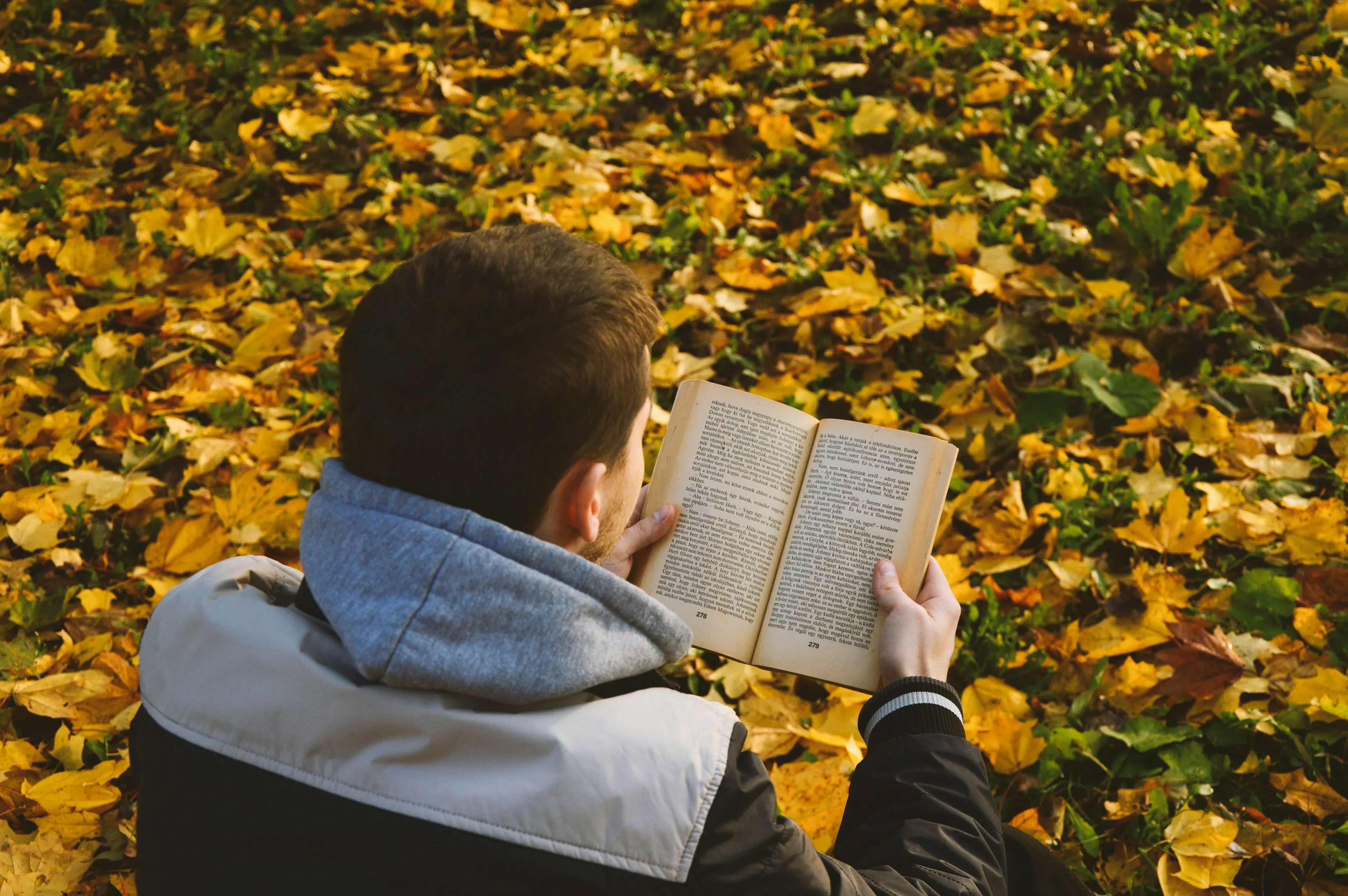 A person reading a book outdoors on a sunny autumn day, considering how to handle loneliness.