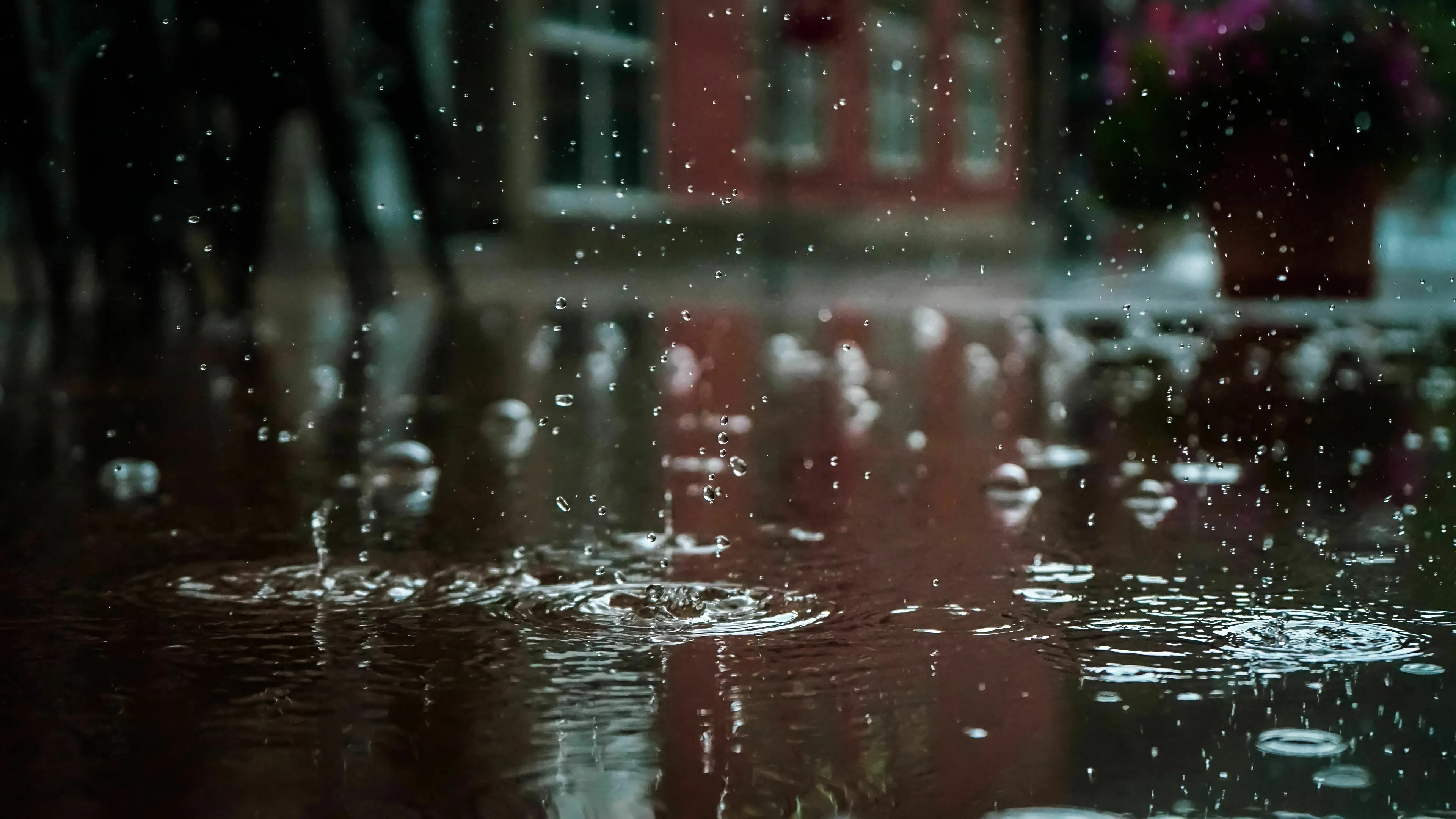 Raindrops creating ripples in a puddle, symbolizing a rainy afternoon and how to handle loneliness.