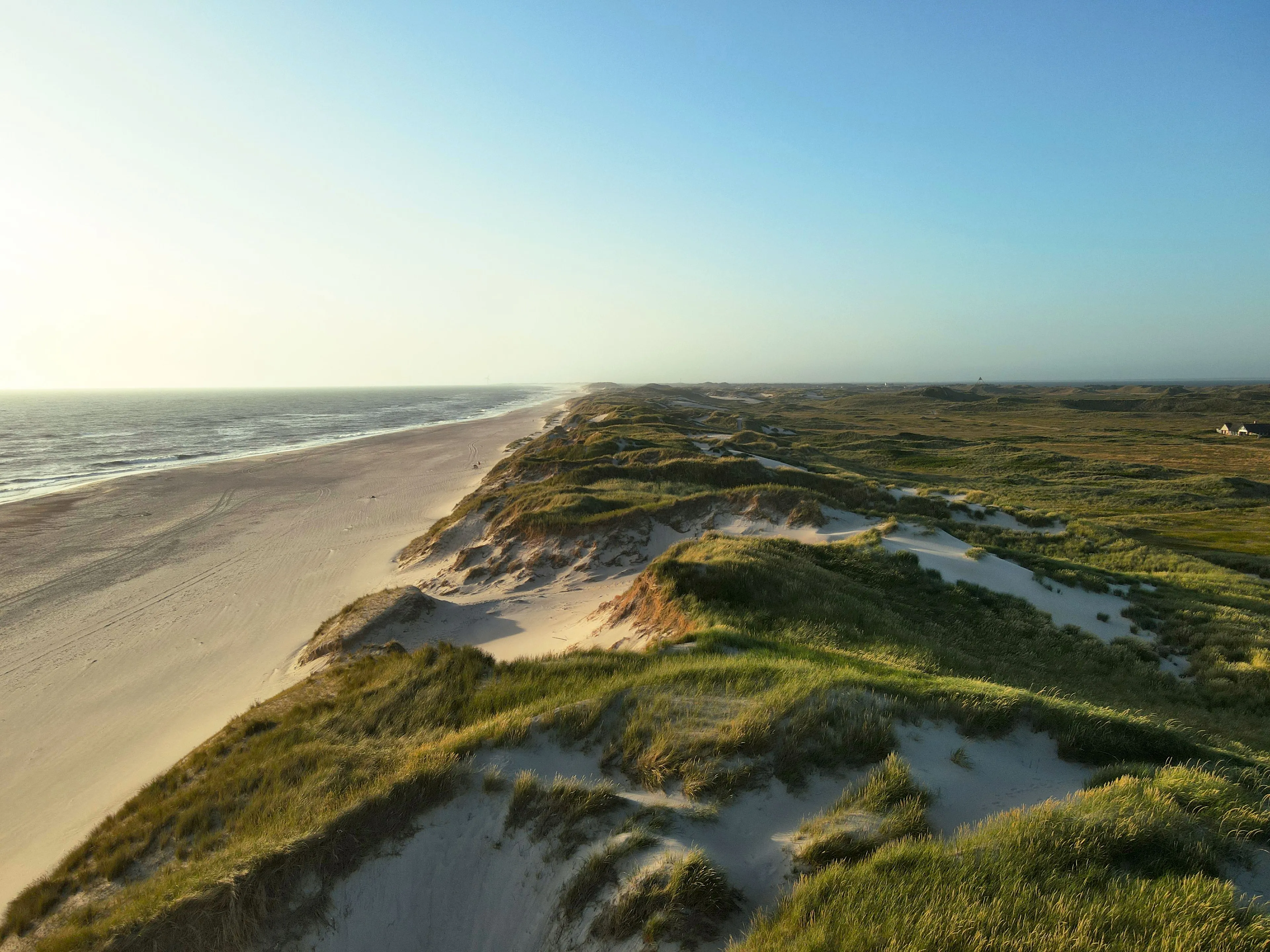 Sunlit coastline with a sandy beach meeting the ocean, bordered by green, grassy sand dunes.