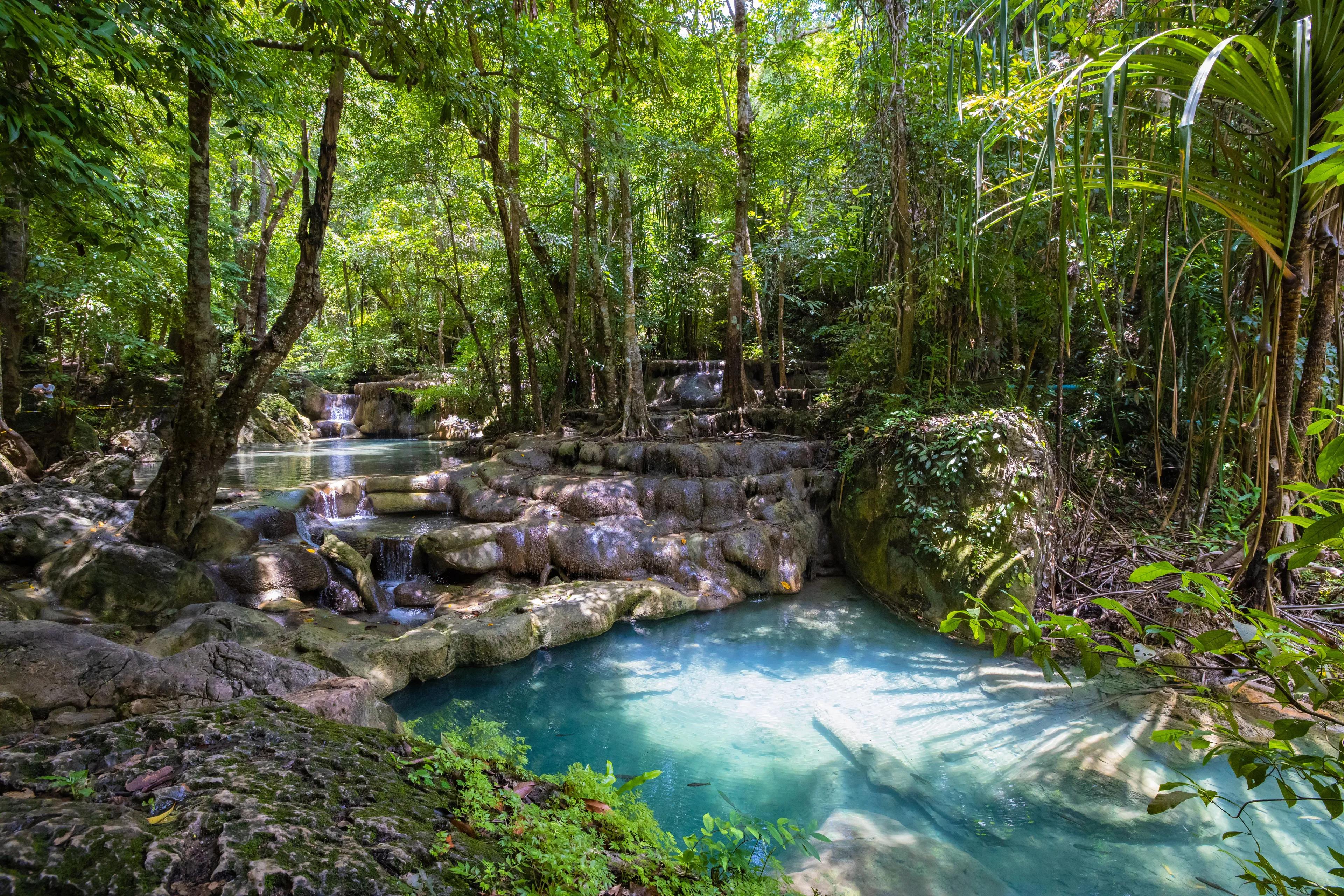 Dense jungle scene with lush green trees, cascading waterfalls, and clear blue pools of water.