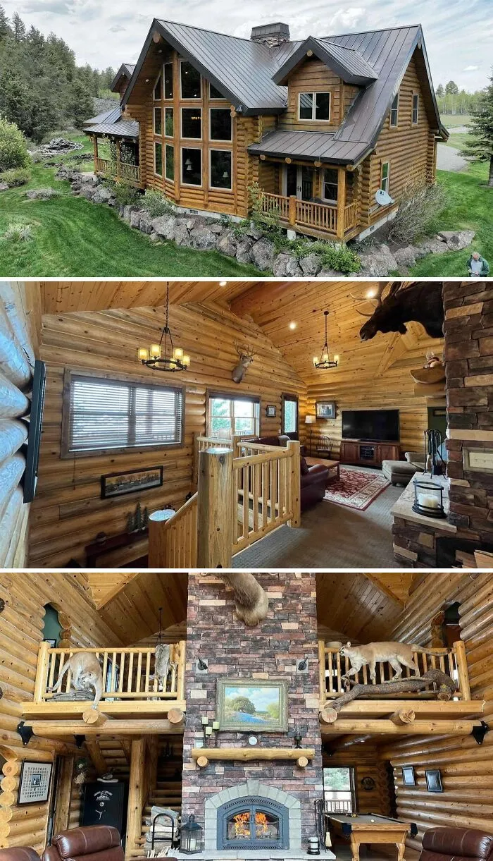A large log cabin exterior nestled in a lush landscape, an inviting living room with wood finishes, and a fireplace with mounted animal heads, showcasing unusual homes.