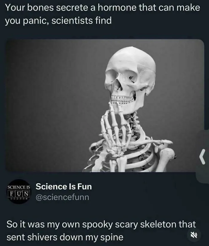 A relatable meme showing a skeleton thinking, with text about bones secreting a hormone that causes panic.