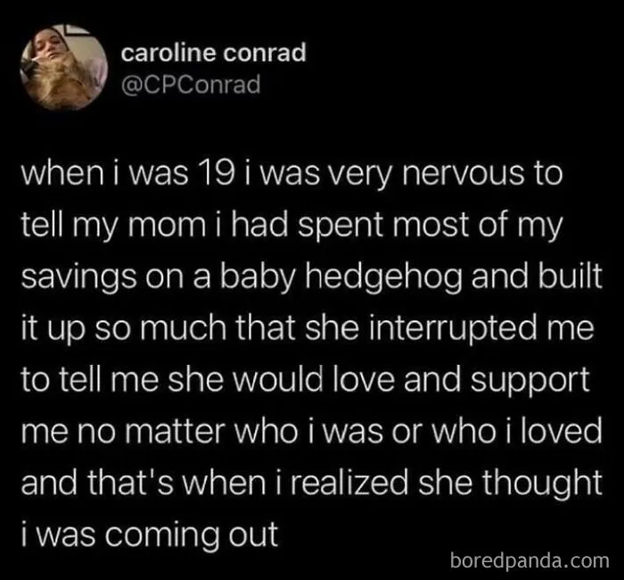 A relatable tweet about a person nervous to tell their mom about a pet hedgehog, leading to a misunderstanding about coming out.