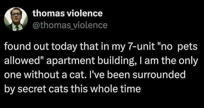 A relatable meme from Thomas Violence discovering his no-pets apartment building is full of secret cats.