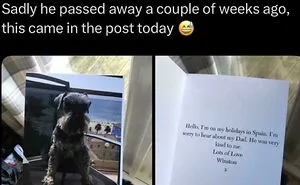 75 Memes That Perfectly Sum Up The Chaos Of Being Alive Right Now