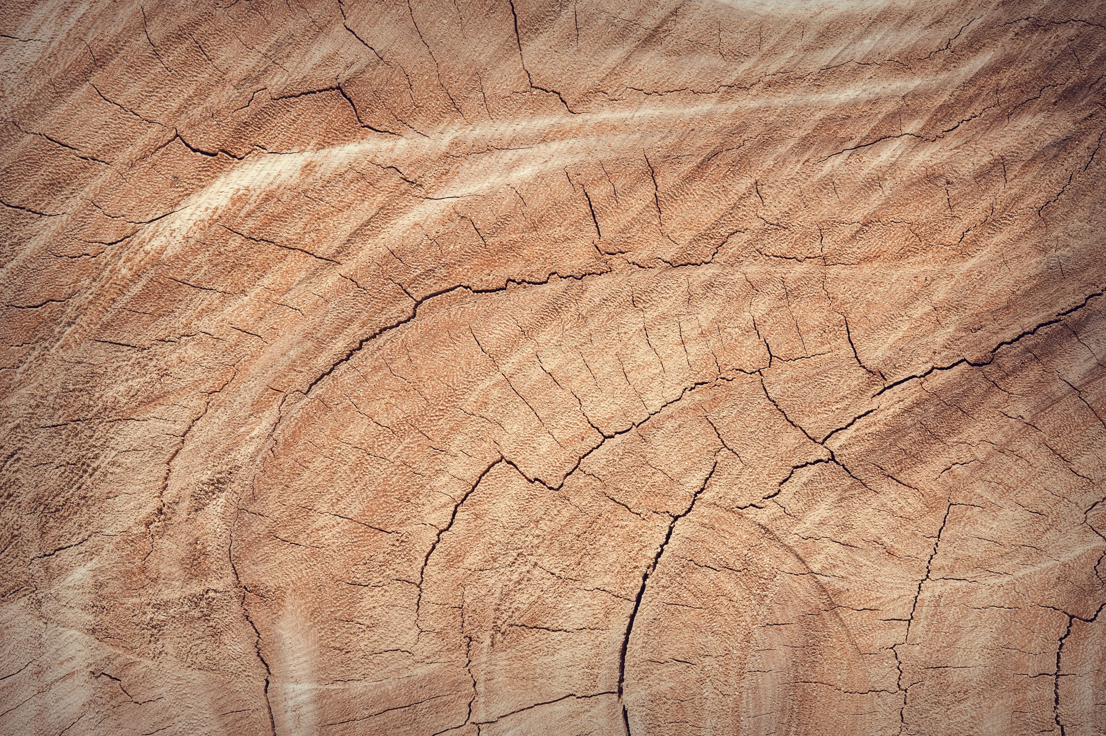 Detailed close-up of a weathered wood material texture with visible growth rings and natural cracks in shades of brown.