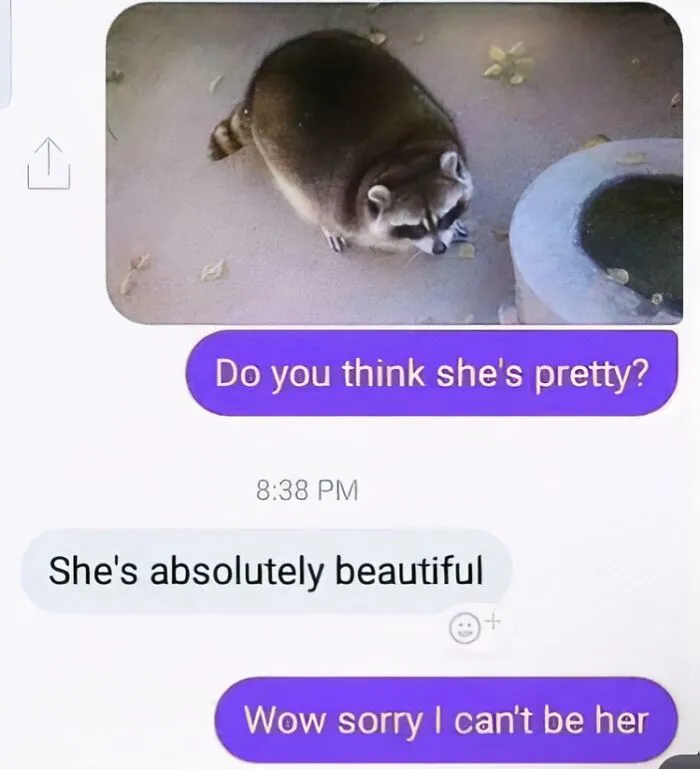 A relatable meme of a text exchange featuring a raccoon and a compliment, then a self-deprecating reply.