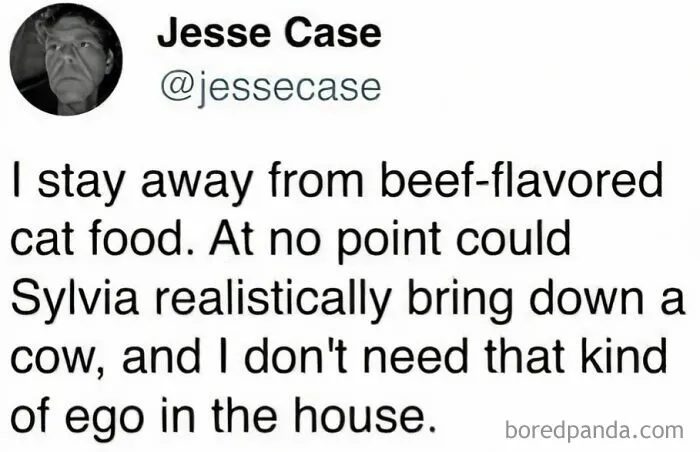 A relatable meme from Jesse Case about not feeding a cat beef-flavored food to avoid an ego boost.