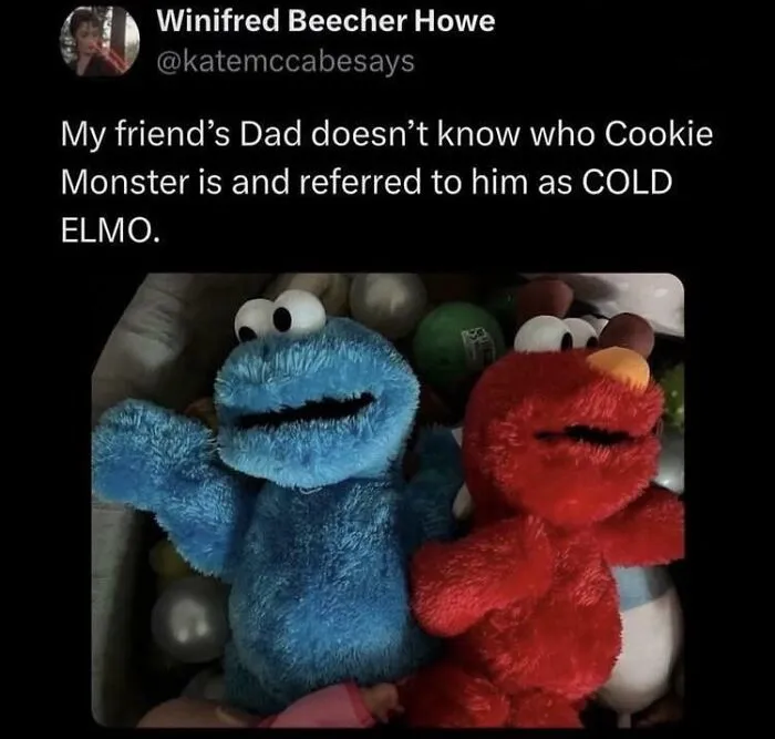 A relatable meme featuring a tweet and image of Cookie Monster and Elmo toys, where Cookie Monster is called COLD ELMO.