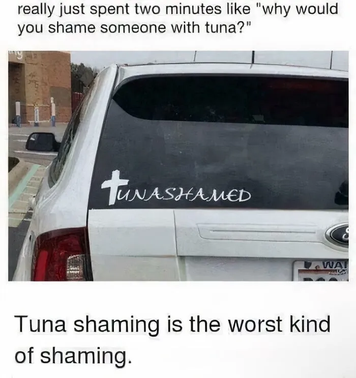 A relatable meme showing a car with a TUNASHAMED sticker and text about tuna shaming.