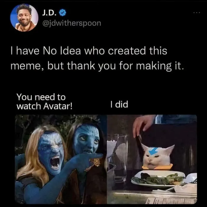A relatable meme combining Avatar characters yelling at a cat with an Aang tattoo.