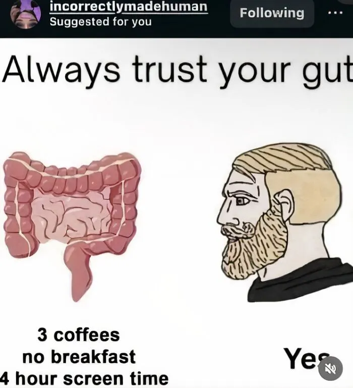 A relatable meme contrasting a healthy gut with an unhealthy one, highlighting everyday choices.