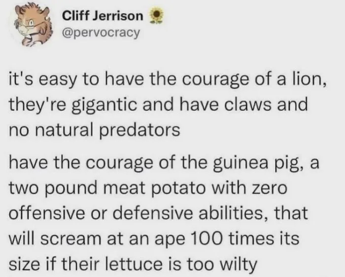 A relatable meme from Cliff Jerrison comparing the courage of a lion to that of a guinea pig.