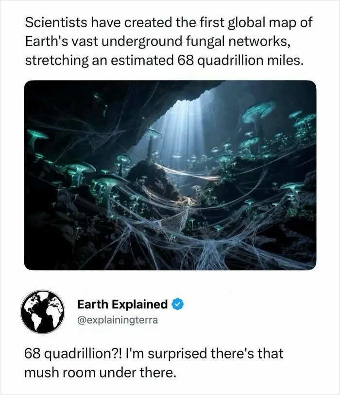 41 Surprising Facts About Our World That Are Truly Incredible