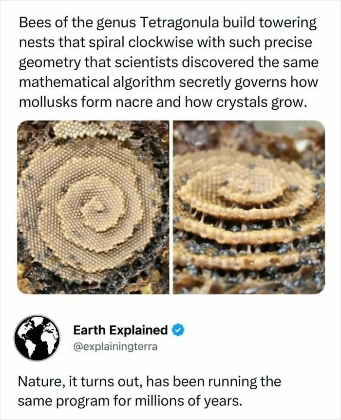 41 Surprising Facts About Our World That Are Truly Incredible