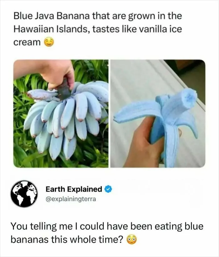 41 Surprising Facts About Our World That Are Truly Incredible