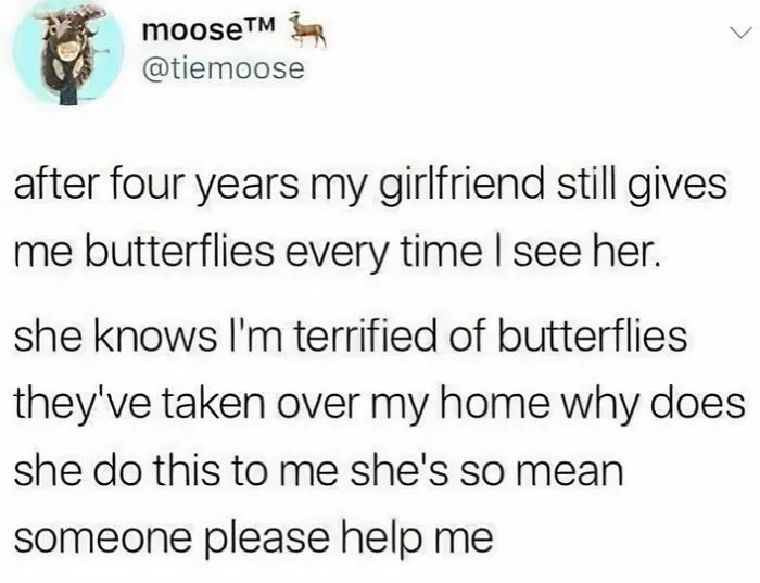 Funny Memes