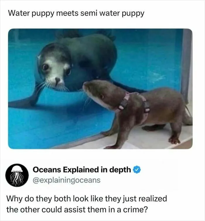 41 Surprising Facts About Our World That Are Truly Incredible