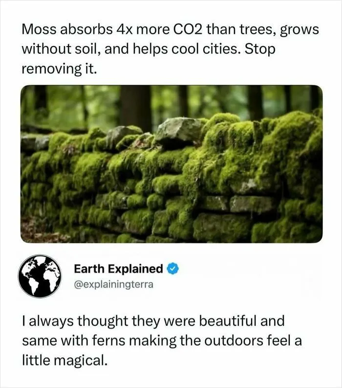 41 Surprising Facts About Our World That Are Truly Incredible