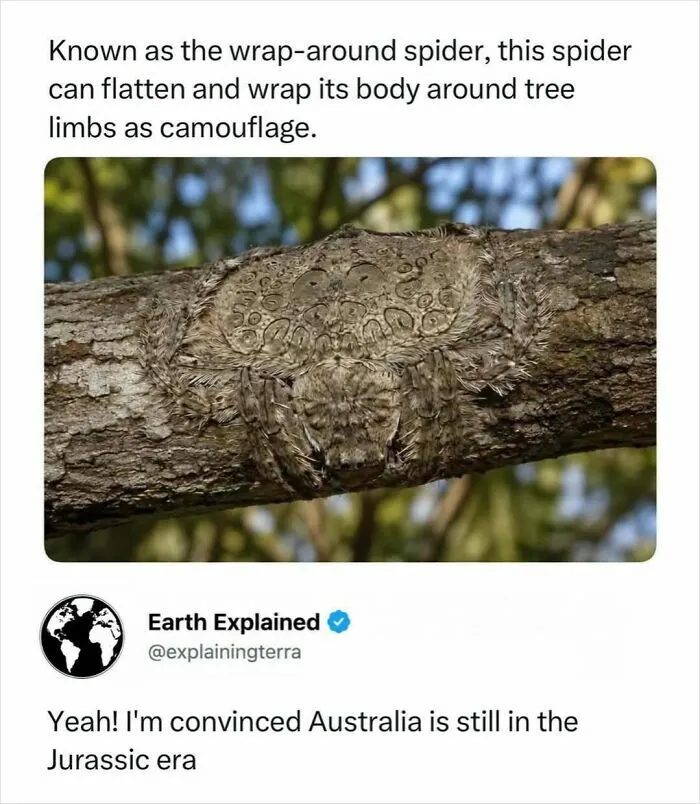41 Surprising Facts About Our World That Are Truly Incredible