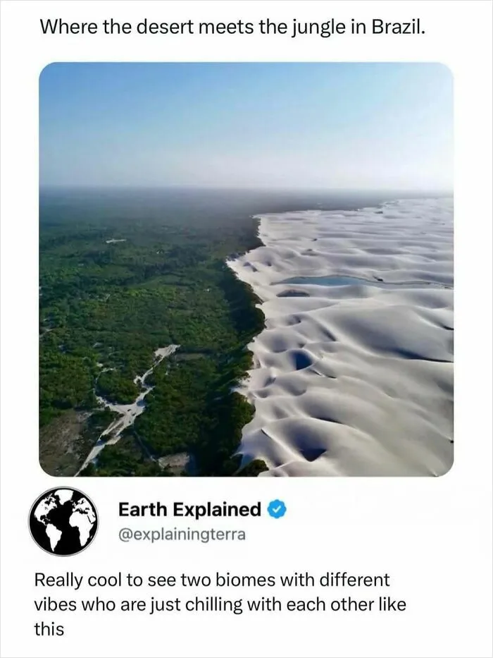 41 Surprising Facts About Our World That Are Truly Incredible