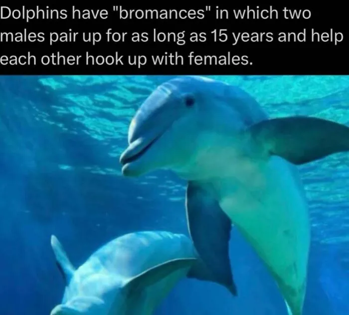 41 Surprising Facts About Our World That Are Truly Incredible