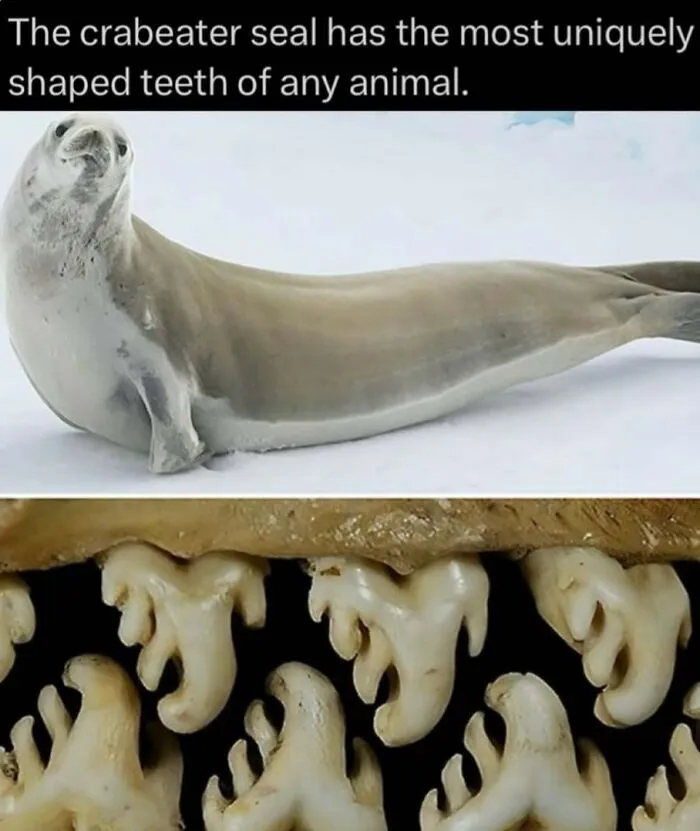 41 Surprising Facts About Our World That Are Truly Incredible