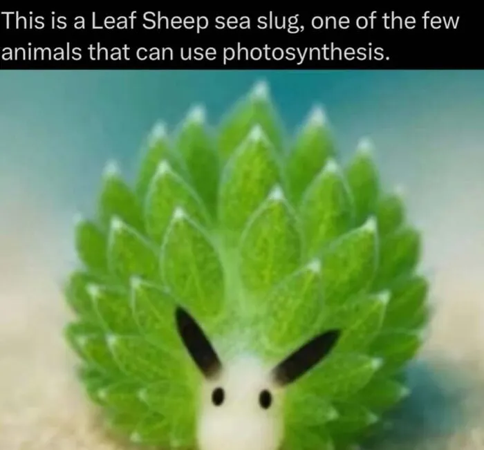41 Surprising Facts About Our World That Are Truly Incredible