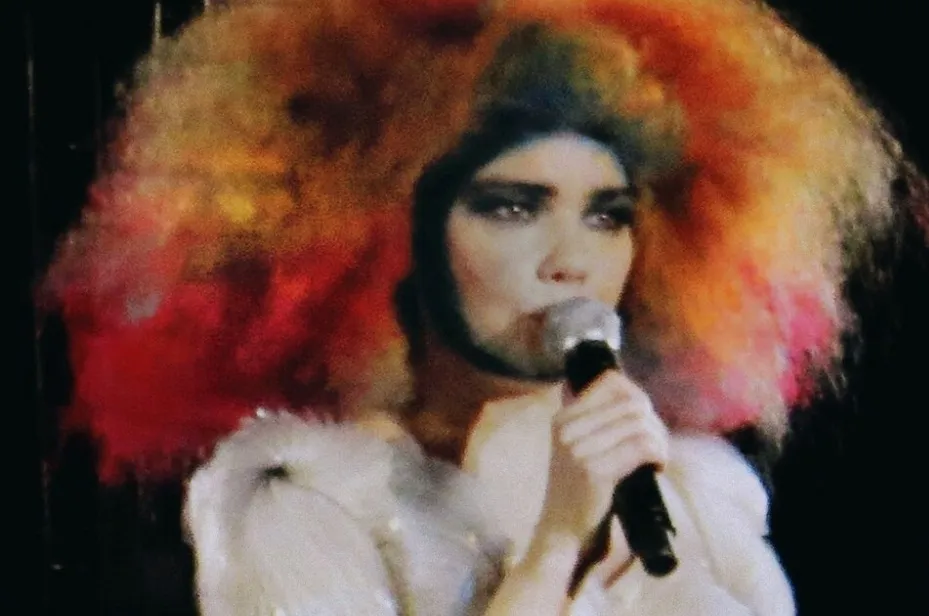 Björk with a voluminous, multicolored hairstyle, performing live while holding a microphone, an Icelandic musician.