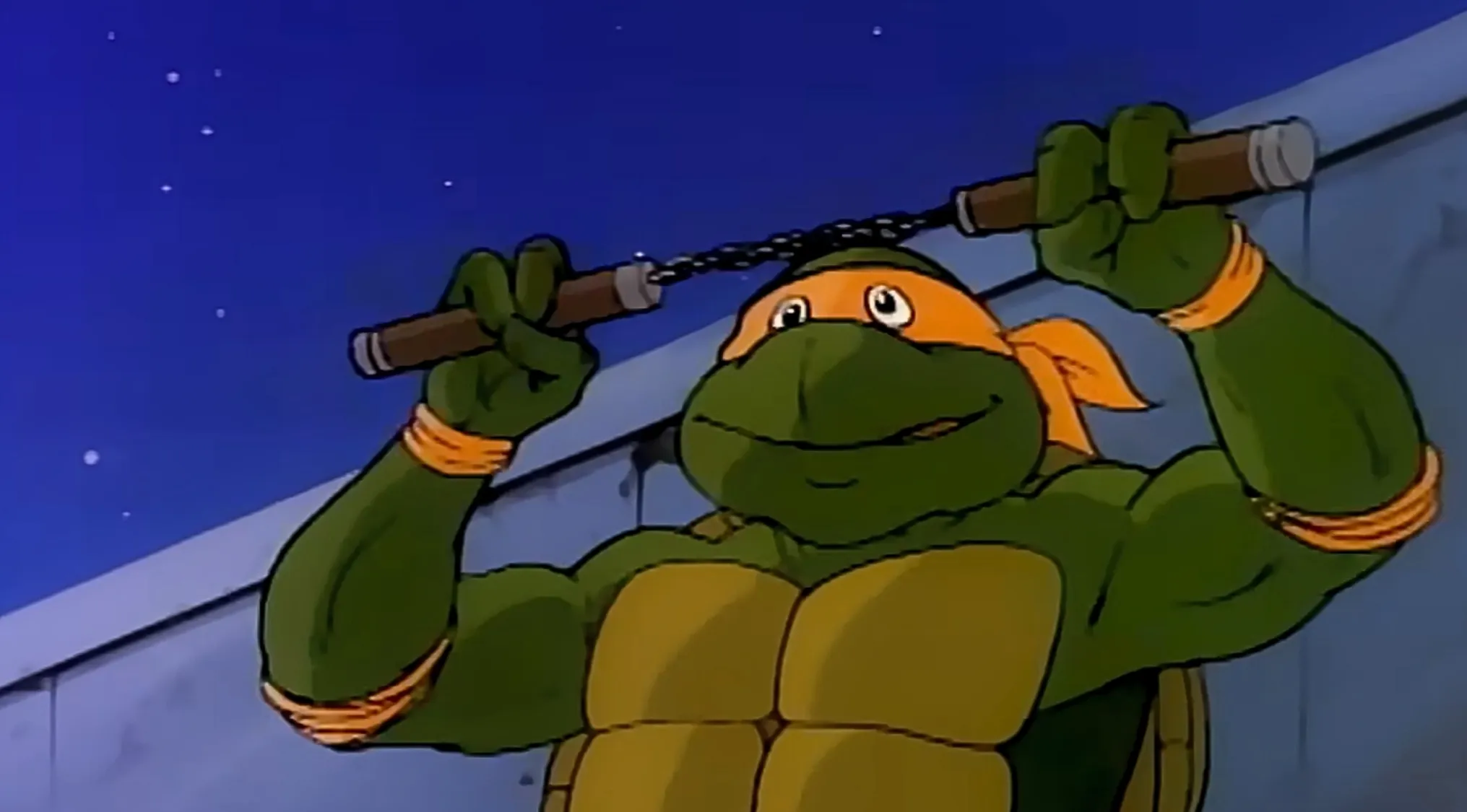 A Teenage Mutant Ninja Turtle character holding nunchucks, named after famous artists from the Renaissance period.