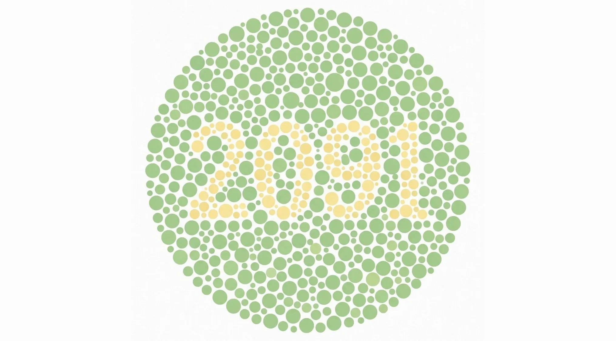 Color blindness test image, part 6, revealing the number 2051 hidden in a circle of green dots.