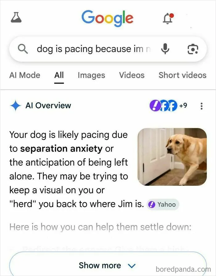 Who Tf Is Jim???