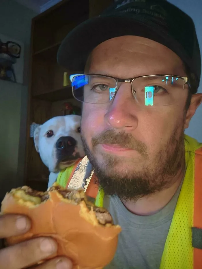 Funny unhinged dog staring intensely at its owner eating a burger from behind.
