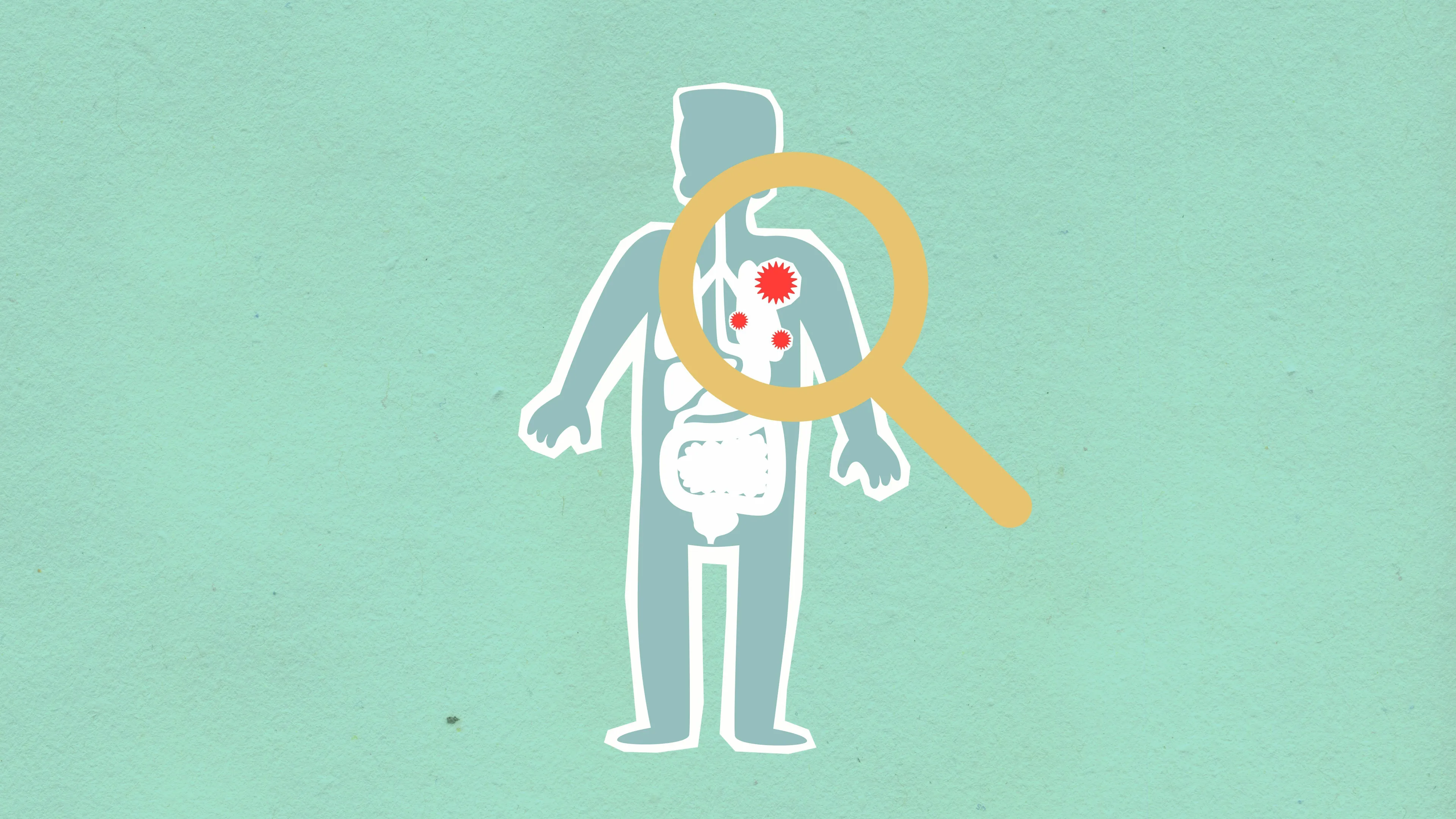 Basic Medical Knowledge Quiz: A human body outline with a magnifying glass over a red inflamed area, representing the body's first line of defense against pathogens.