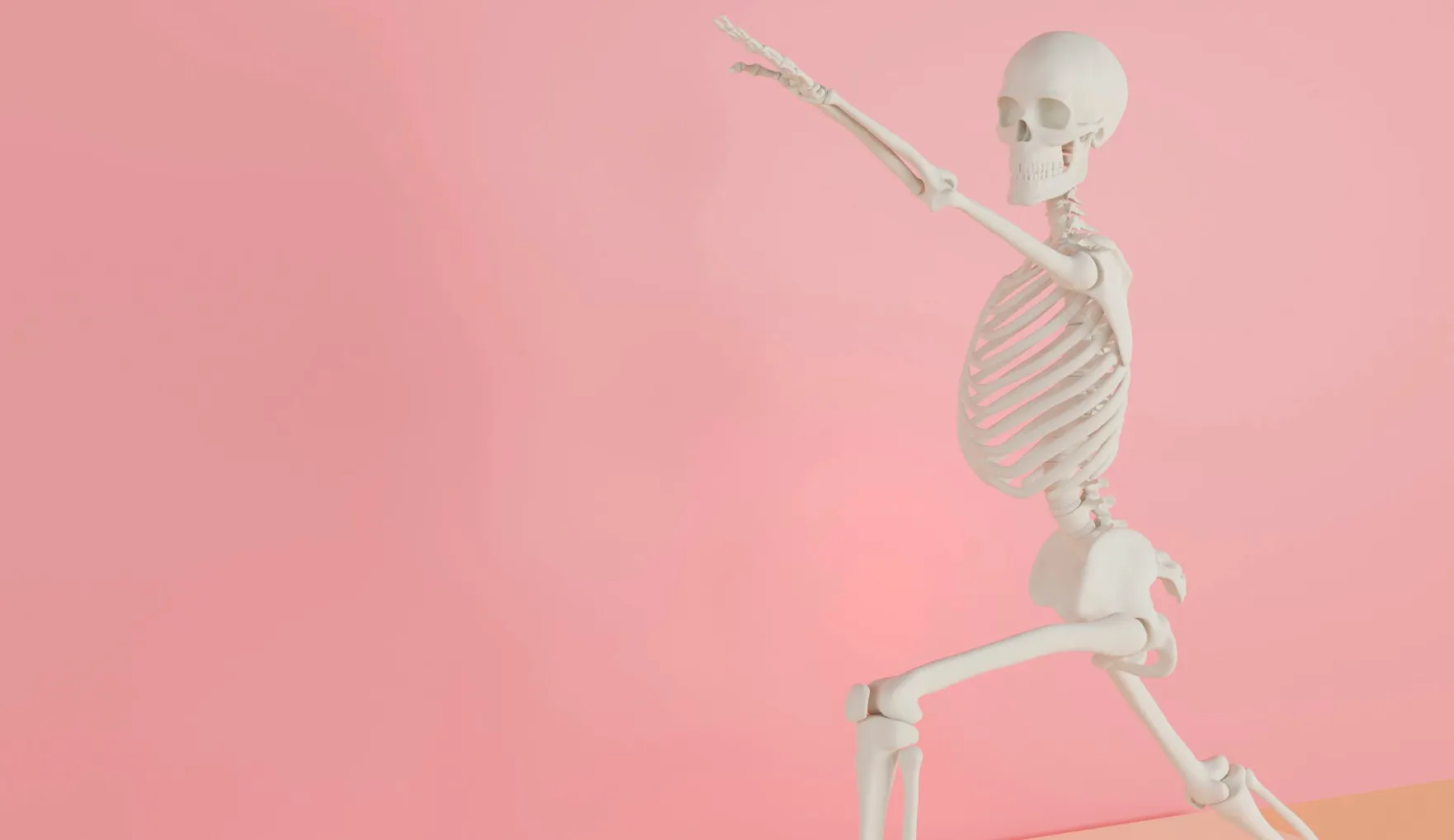 Basic Medical Knowledge Quiz: Skeleton model, showing the major bones in the human skeleton.