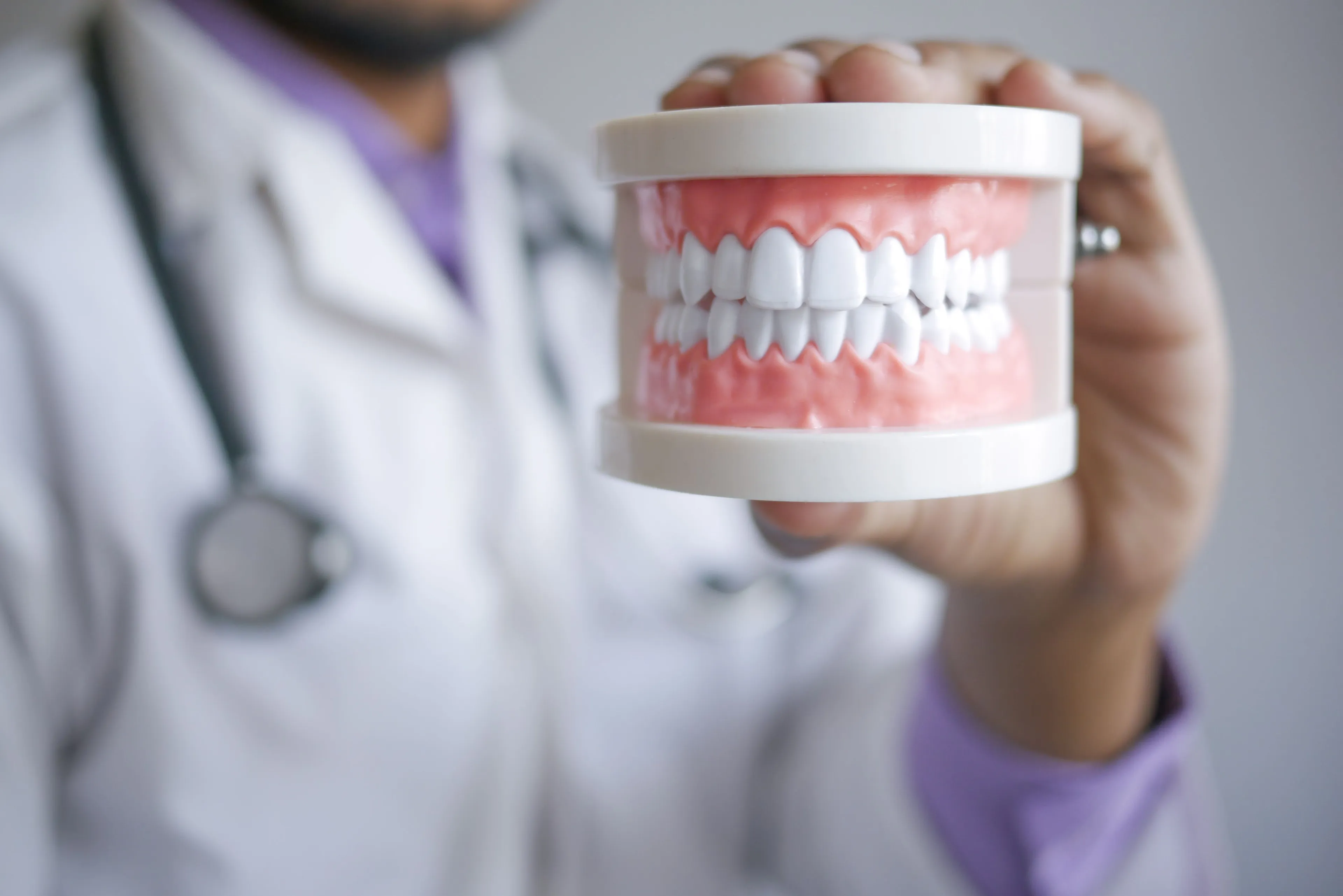 Dentist in white coat holding a teeth model, highlighting the importance of minerals for healthy bones and teeth.
