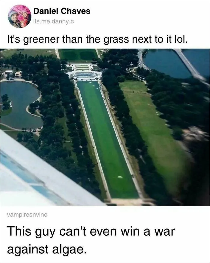 He Can't Even Win A War Against Algae