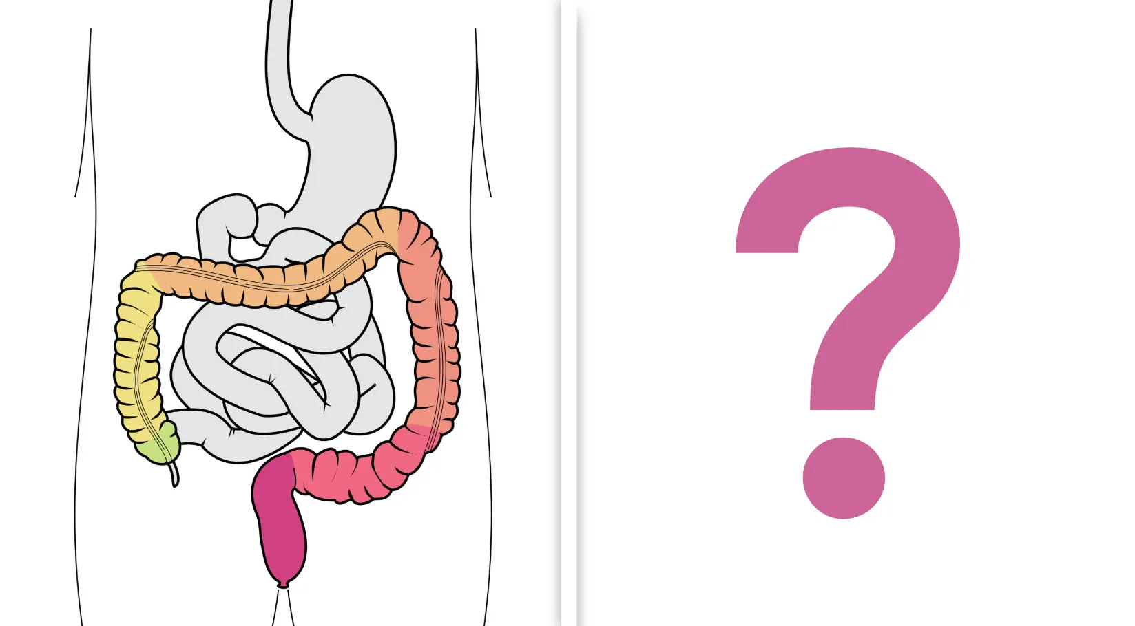 Basic Medical Knowledge Quiz: A diagram illustrating the large intestine and colon with a question mark.