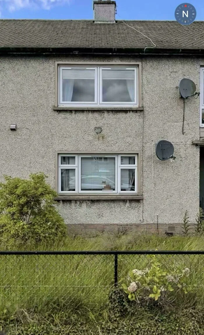 A funny Google Street View photo capturing a cat curiously peeking out of a window in a residential building.