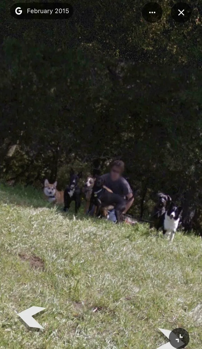 Me And 6 Dogs On The Side Of A Trail