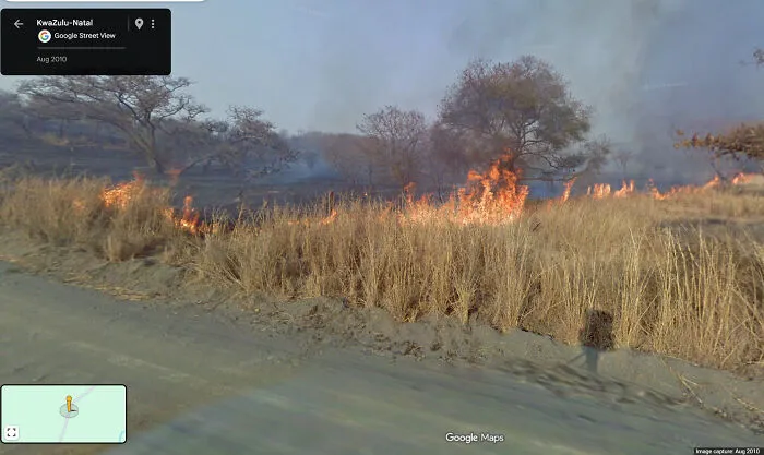 They Sent This Street View Driver Through A Massive Brush Fire