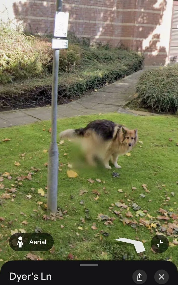 Blur Of Shame