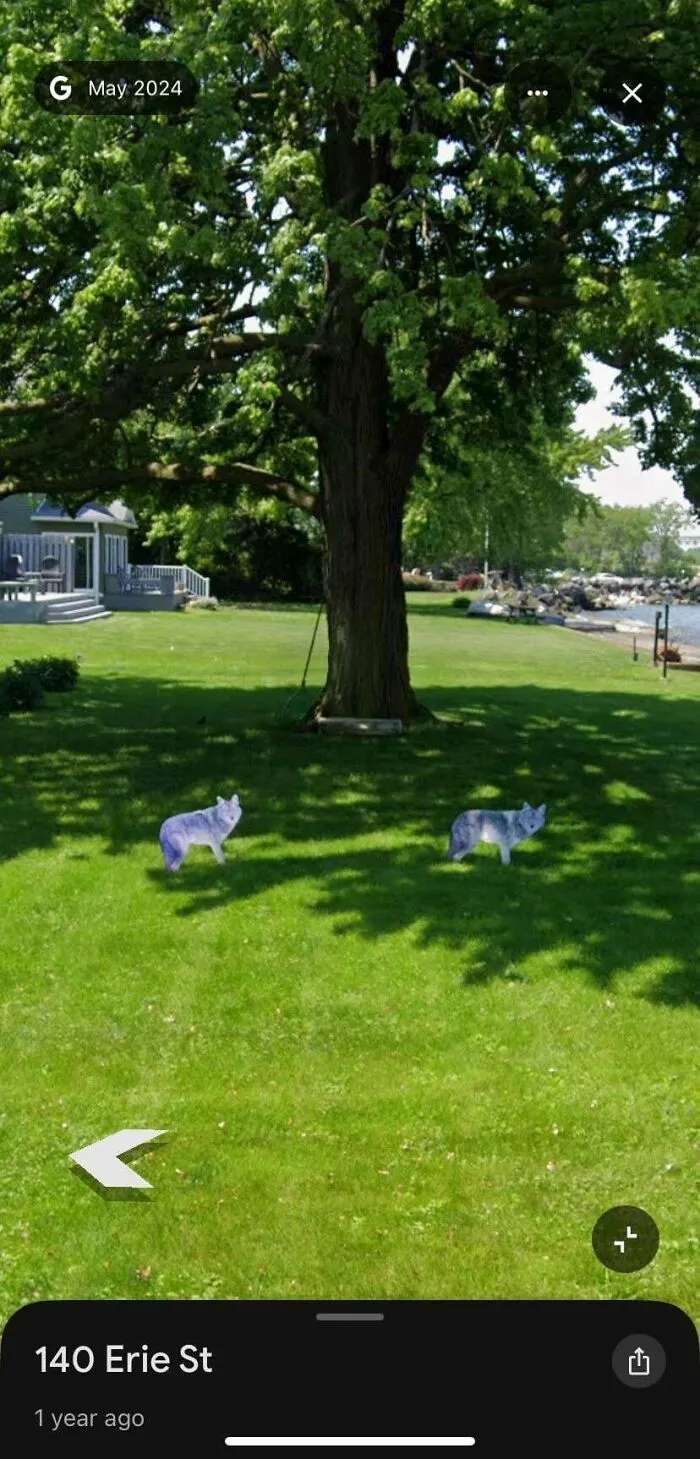 A funny Google Street View photo showing two purple animal figures on a green lawn near a large tree and a house.