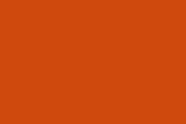 A solid orange color swatch, ideal for selecting a warm color.