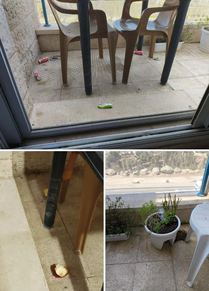 Kept Finding Trash On My Balcony. Finally Confronted The Upstairs Neighbors And Was Pleasantly Surprised