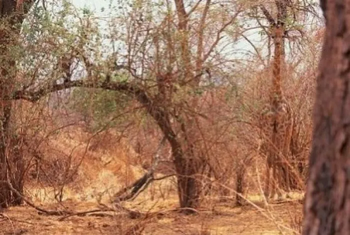 35 Fotos aparentemente normales, pero que «cuando lo veas» vas a alucinar