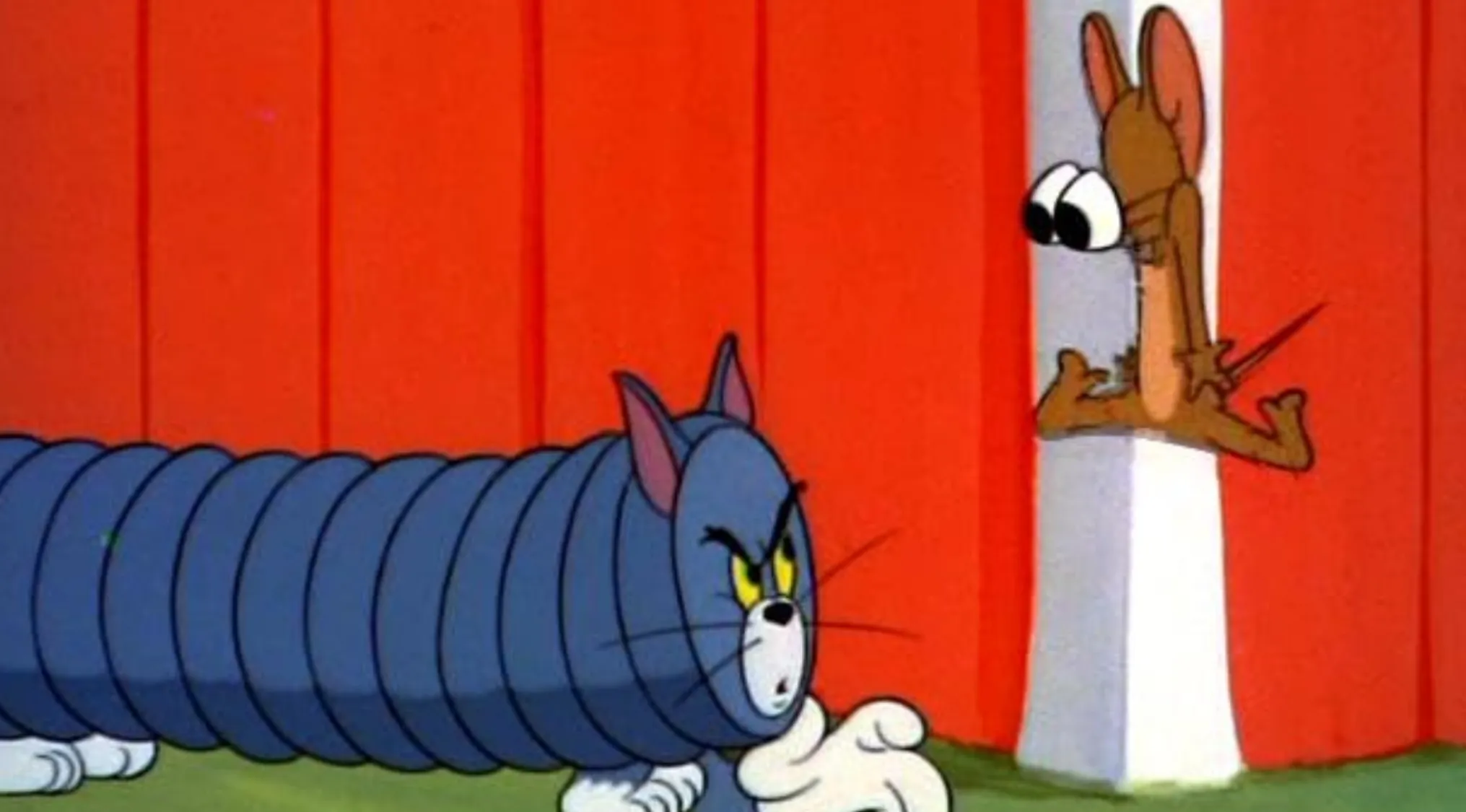 A still image from a Saturday morning cartoon with Tom stretched out in an accordion shape and Jerry looking surprised.
